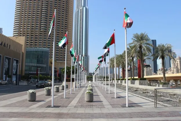 UAE government initiatives